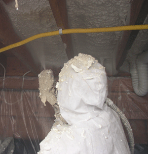  WY crawl space insulation